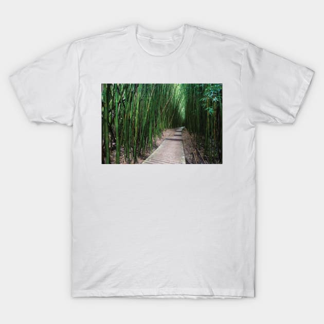 Boardwalk Through Bamboo Pipiwai Trail Hakeakala National Park Kipahulu T-Shirt by HammiltenJohn